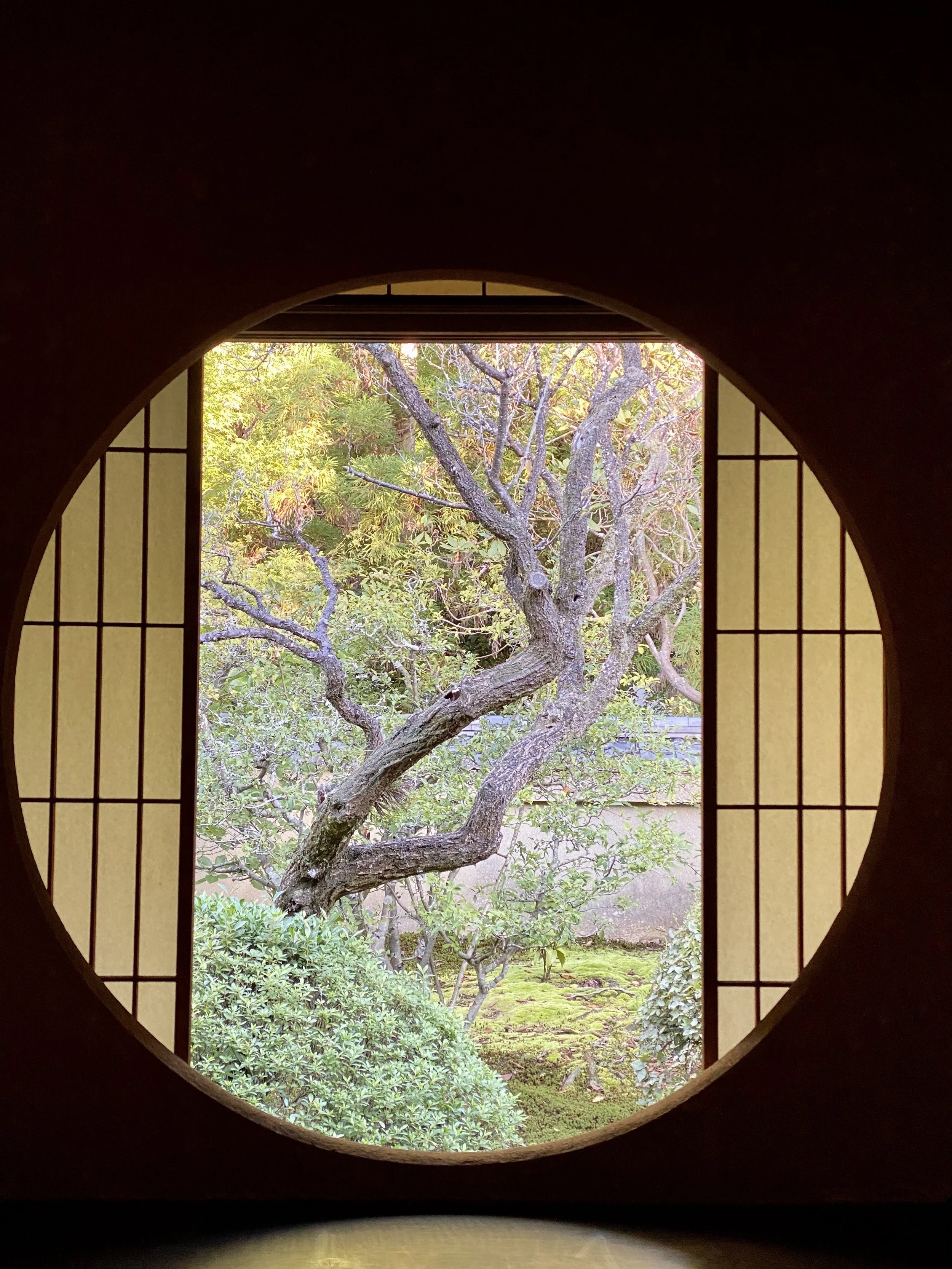Japanese garden